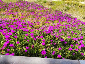 Fotos de la primavera enviadas por los lectores de diariodenavarra.es
