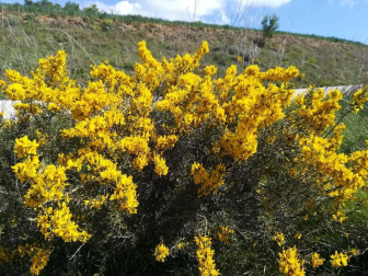 Fotos de la primavera enviadas por los lectores de diariodenavarra.es