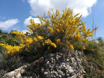 Fotos de la primavera enviadas por los lectores de diariodenavarra.es