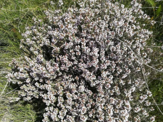 Fotos de la primavera enviadas por los lectores de diariodenavarra.es