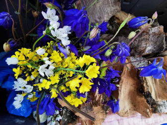 Fotos de la primavera enviadas por los lectores de diariodenavarra.es