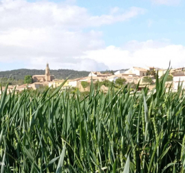Fotos de la primavera enviadas por los lectores de diariodenavarra.es