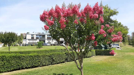 Fotos de la primavera enviadas por los lectores de diariodenavarra.es