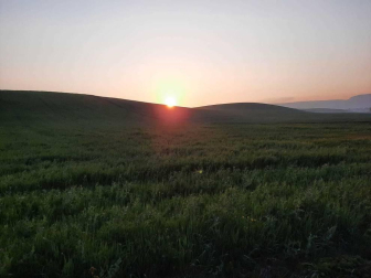Fotos de la primavera enviadas por los lectores de diariodenavarra.es