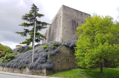 Fotos de la primavera enviadas por los lectores de diariodenavarra.es