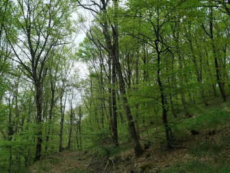 Fotos de la primavera enviadas por los lectores de diariodenavarra.es