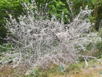 Fotos de la primavera enviadas por los lectores de diariodenavarra.es