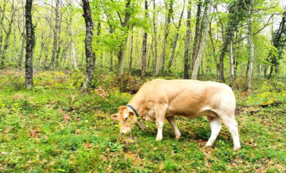Fotos de la primavera enviadas por los lectores de diariodenavarra.es