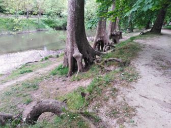 Fotos de la primavera enviadas por los lectores de diariodenavarra.es