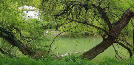 Fotos de la primavera enviadas por los lectores de diariodenavarra.es