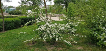 Fotos de la primavera enviadas por los lectores de diariodenavarra.es