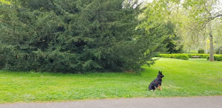 Fotos de la primavera enviadas por los lectores de diariodenavarra.es