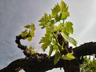 Fotos de la primavera enviadas por los lectores de diariodenavarra.es