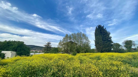 Fotos de la primavera enviadas por los lectores de diariodenavarra.es
