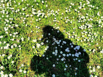 Fotos de la primavera enviadas por los lectores de diariodenavarra.es