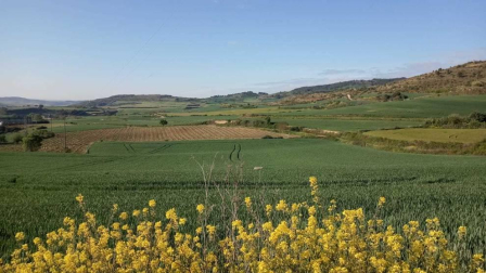 Fotos de la primavera enviadas por los lectores de diariodenavarra.es