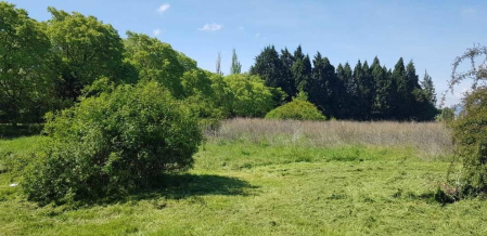 Fotos de la primavera enviadas por los lectores de diariodenavarra.es
