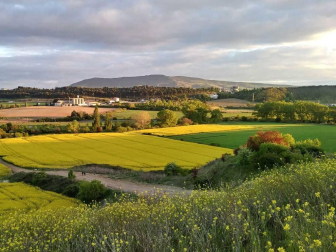 Fotos de la primavera enviadas por los lectores de diariodenavarra.es