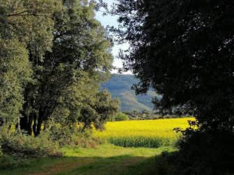 Fotos de la primavera enviadas por los lectores de diariodenavarra.es