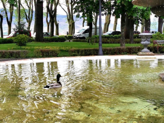 Fotos de la primavera enviadas por los lectores de diariodenavarra.es