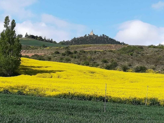 Fotos de la primavera enviadas por los lectores de diariodenavarra.es