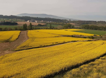 Fotos de la primavera enviadas por los lectores de diariodenavarra.es