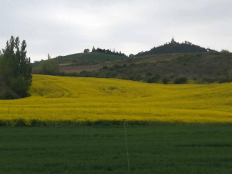 Fotos de la primavera enviadas por los lectores de diariodenavarra.es