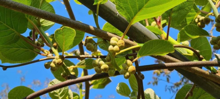 Fotos de la primavera enviadas por los lectores de diariodenavarra.es