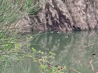 Fotos de la primavera enviadas por los lectores de diariodenavarra.es