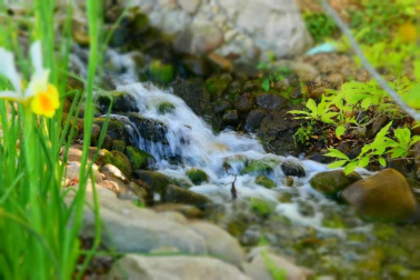 Fotos de la primavera enviadas por los lectores de diariodenavarra.es