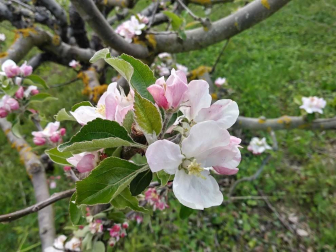 Fotos de la primavera enviadas por los lectores de diariodenavarra.es