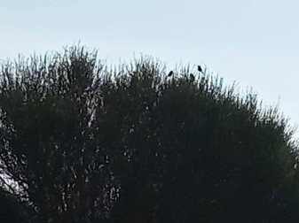 Fotos de la primavera enviadas por los lectores de diariodenavarra.es