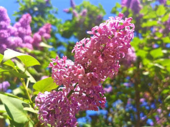 Fotos de la primavera enviadas por los lectores de diariodenavarra.es