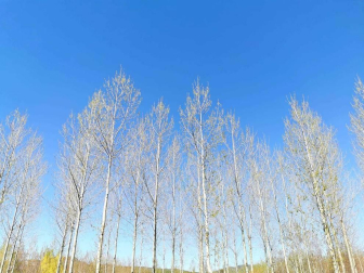 Fotos de la primavera enviadas por los lectores de diariodenavarra.es