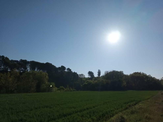 Fotos de la primavera enviadas por los lectores de diariodenavarra.es