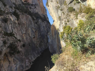 Fotos de la primavera enviadas por los lectores de diariodenavarra.es