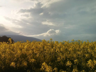 Fotos de la primavera enviadas por los lectores de diariodenavarra.es