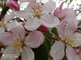 Fotos de la primavera enviadas por los lectores de diariodenavarra.es