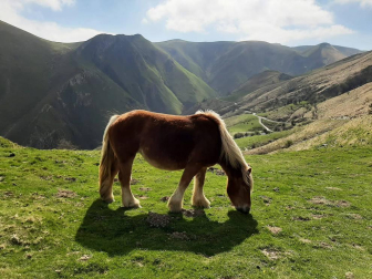 Fotos de la primavera enviadas por los lectores de diariodenavarra.es