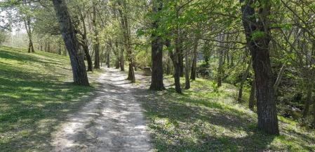 Fotos de la primavera enviadas por los lectores de diariodenavarra.es