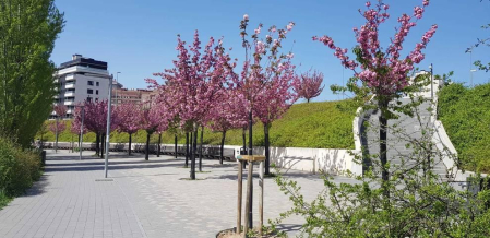 Fotos de la primavera enviadas por los lectores de diariodenavarra.es