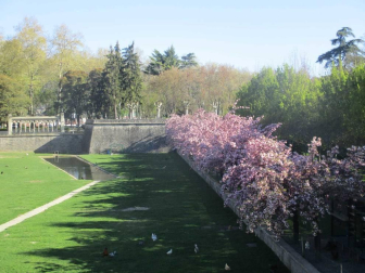 Fotos de la primavera enviadas por los lectores de diariodenavarra.es