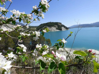 Fotos de la primavera enviadas por los lectores de diariodenavarra.es