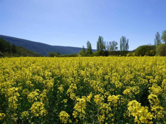 Fotos de la primavera enviadas por los lectores de diariodenavarra.es
