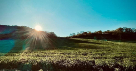 Fotos de la primavera enviadas por los lectores de diariodenavarra.es