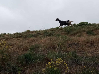 Fotos de la primavera enviadas por los lectores de diariodenavarra.es