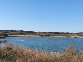 Fotos de la primavera enviadas por los lectores de diariodenavarra.es