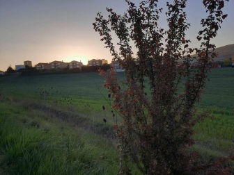 Fotos de la primavera enviadas por los lectores de diariodenavarra.es