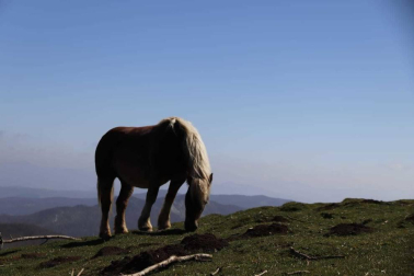 Fotos de la primavera enviadas por los lectores de diariodenavarra.es