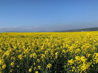 Fotos de la primavera enviadas por los lectores de diariodenavarra.es